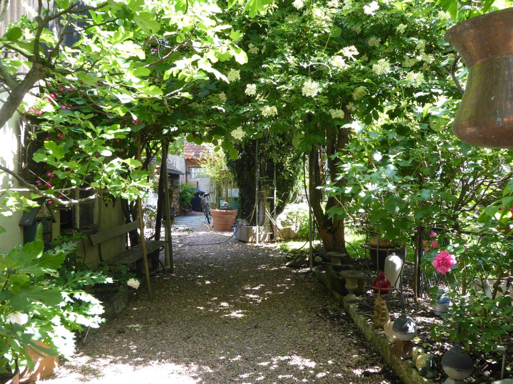 Pension Zur Rose Weil am Rhein Exterior foto